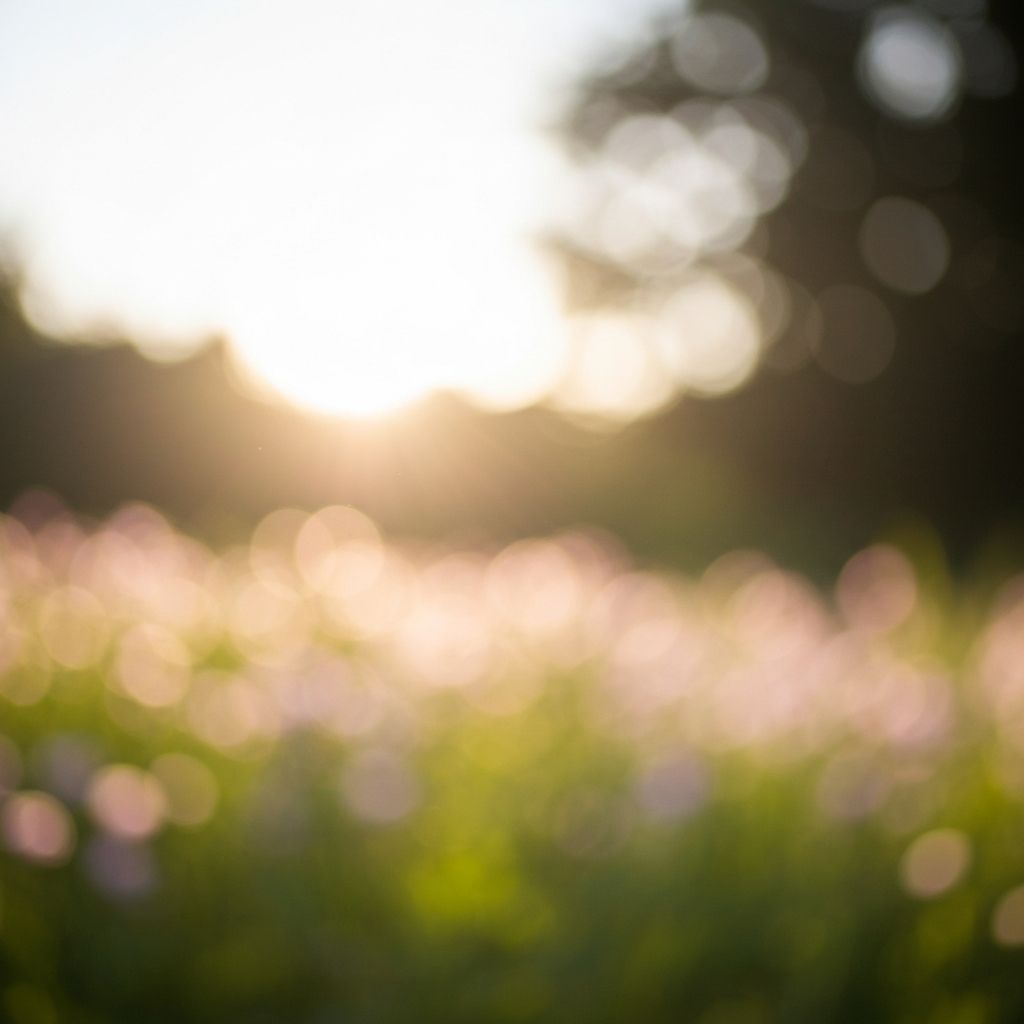 Napfényes természetes táj elmosódott bokeh háttérrel, ahol a fény és az árnyék játéka a fókusz és a látásmélység érzetét kelti, szimbolizálva a tiszta látás és a vizuális nyugalom gondolatát